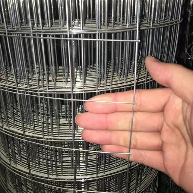 wire mesh