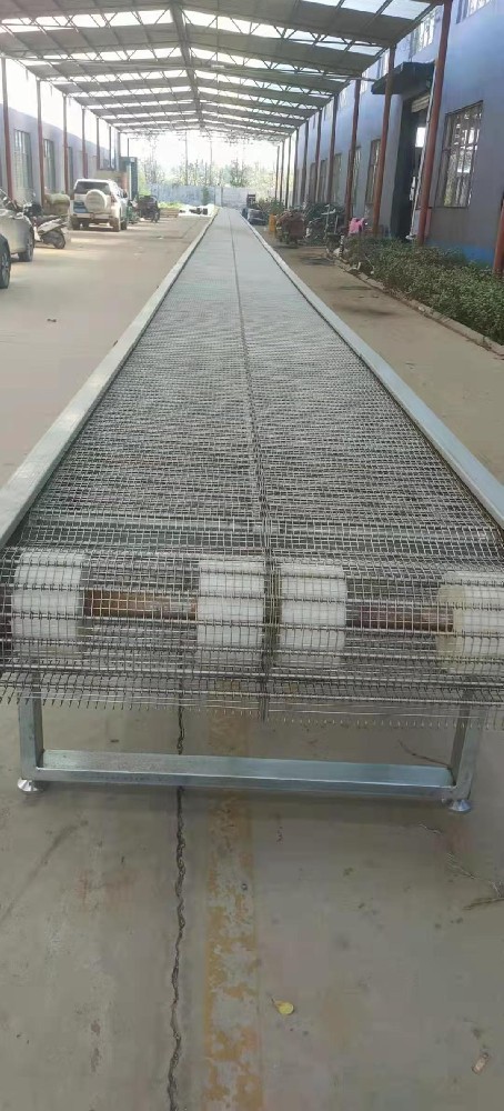 Conveyor belt