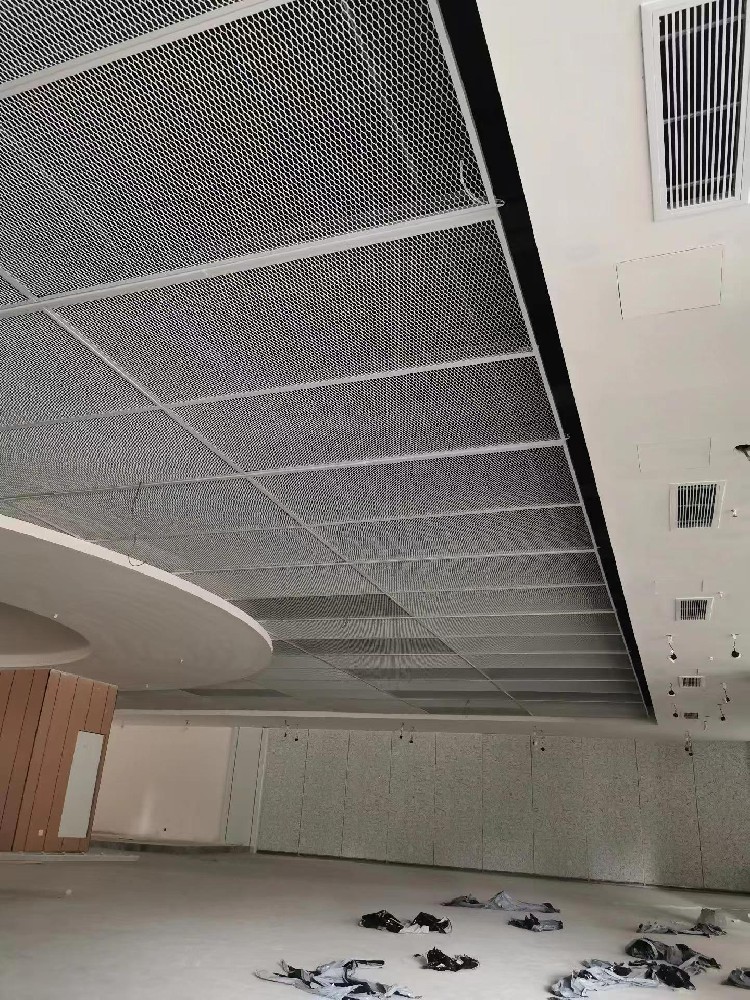 Ceiling net